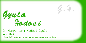 gyula hodosi business card